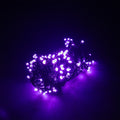PISCA PISCA ROXO