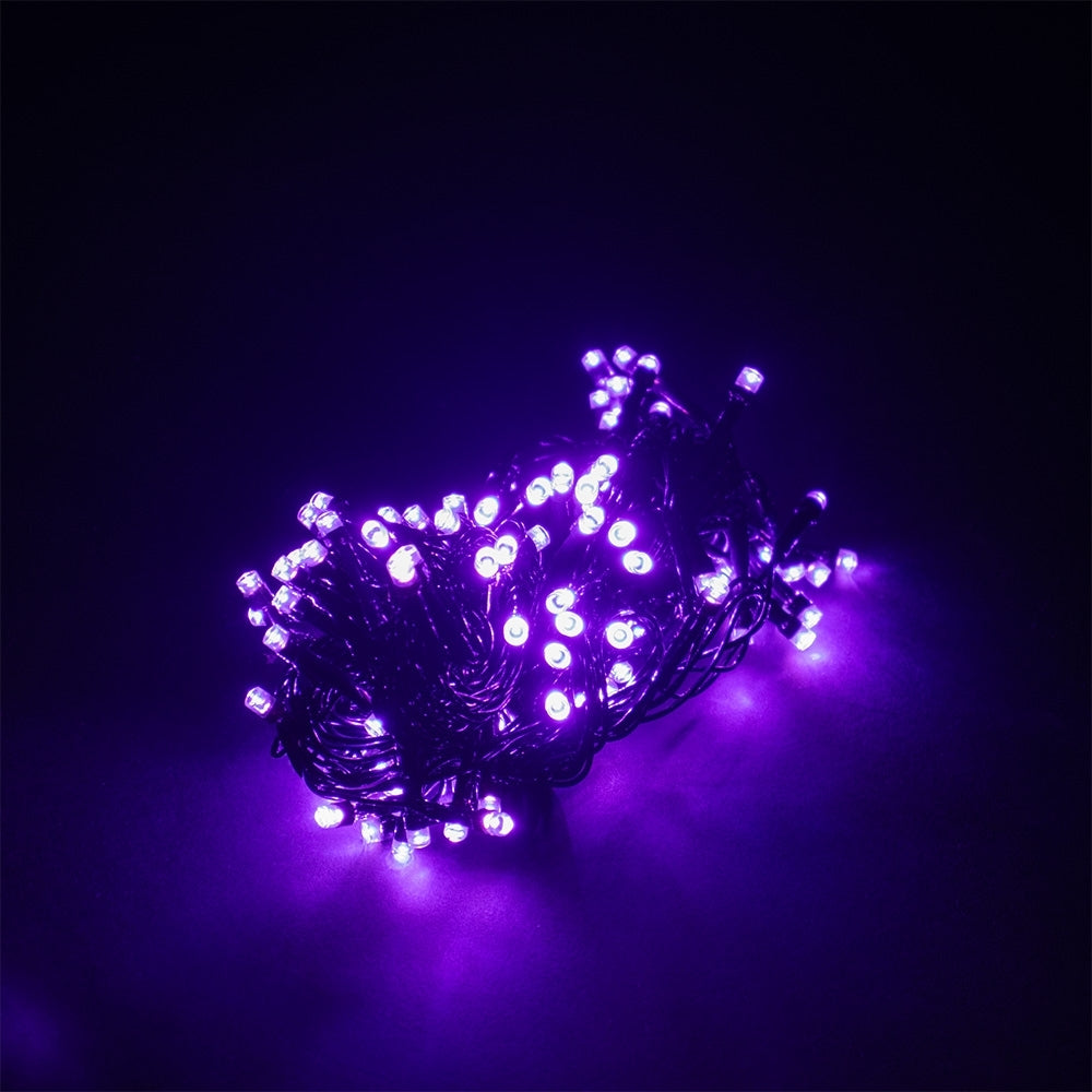 PISCA PISCA ROXO
